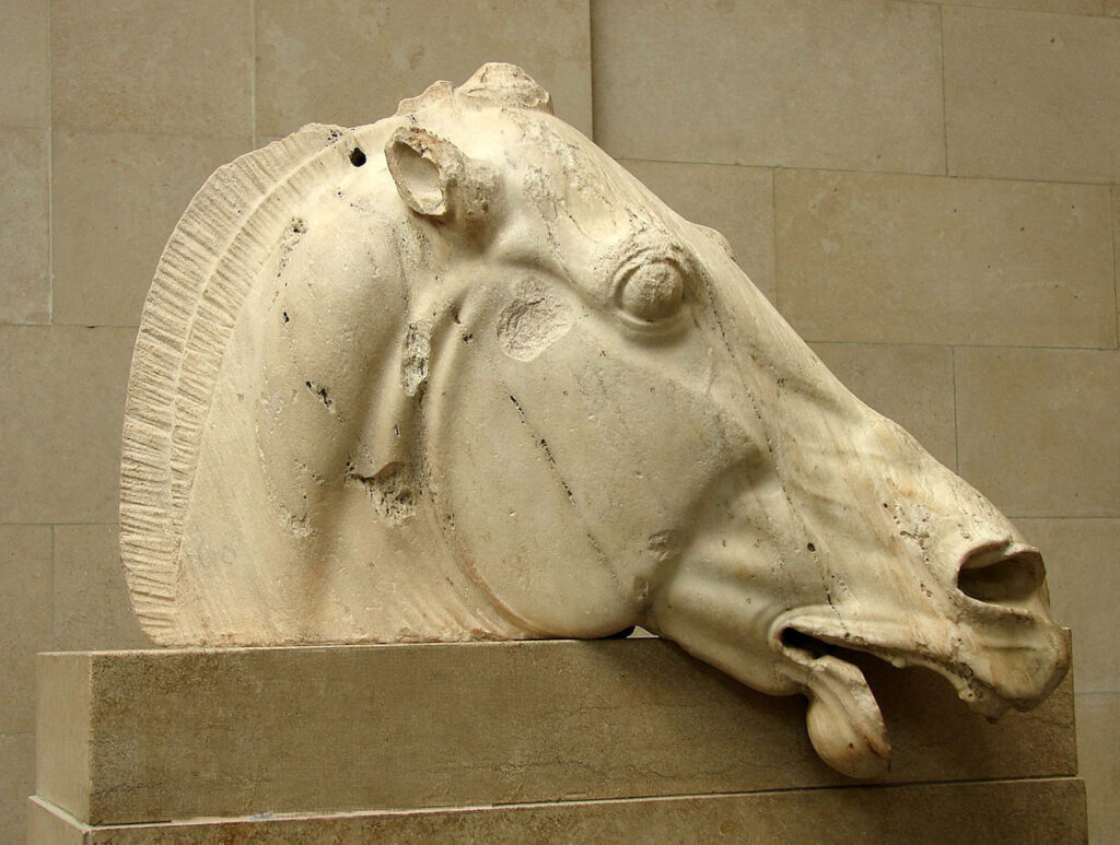 Cabeza de caballo del Partenón